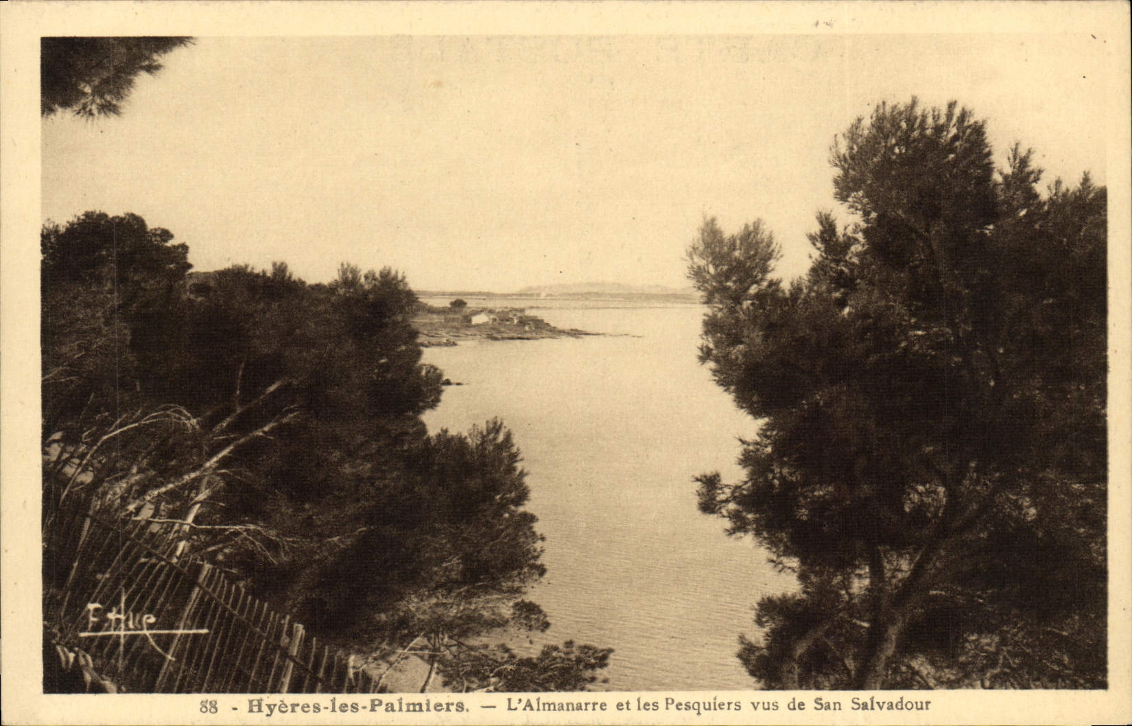 CPA Hyeres les Palmiers L'Almanarre et les Pesquiers vus de San Salvadour 