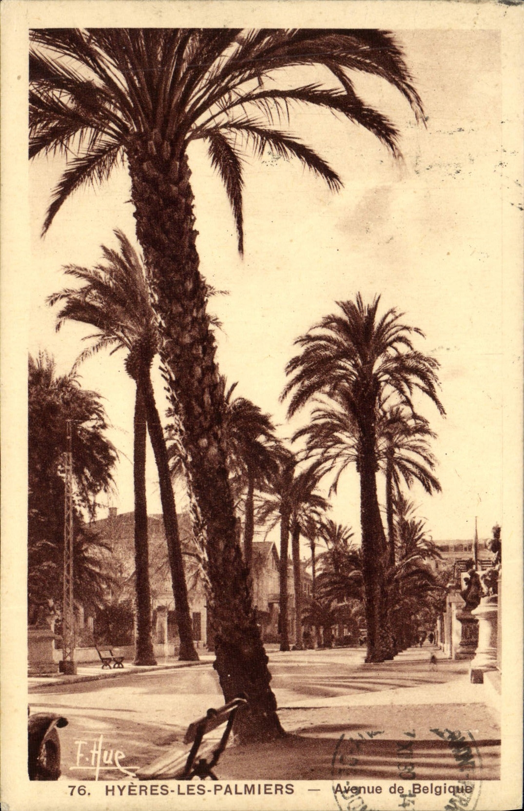 CPA Hyeres les Palmiers Avenue de Belgique