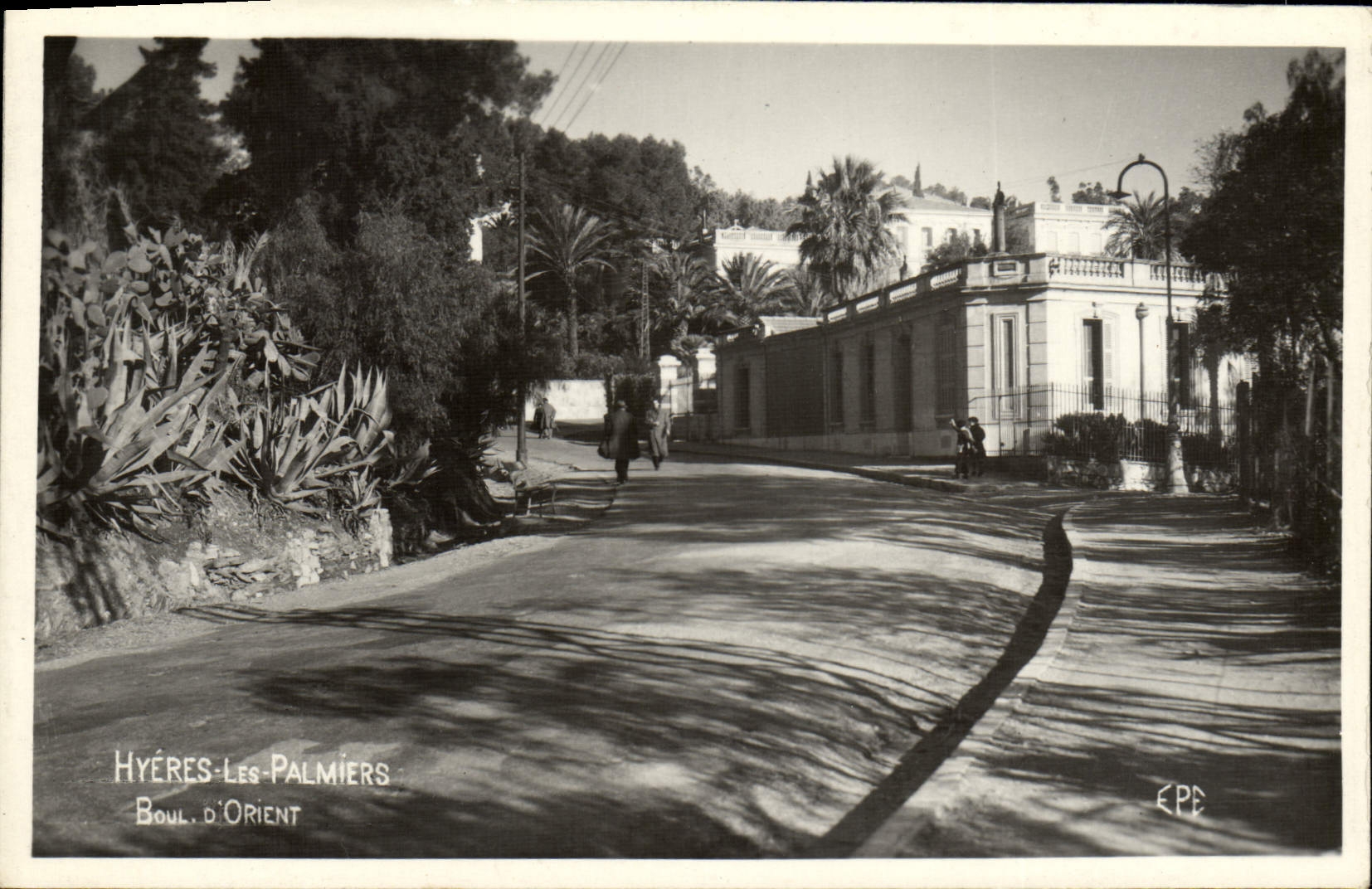 CPA Hyeres Les Palmiers Boulevard d'Orient