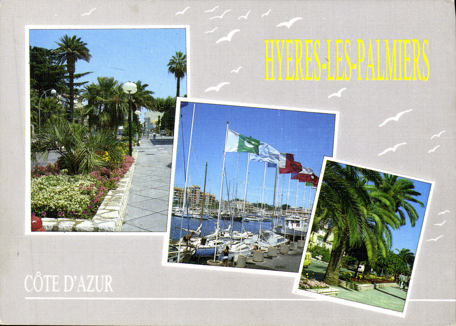 POSTAL MODERNA palmeras de Hyeres