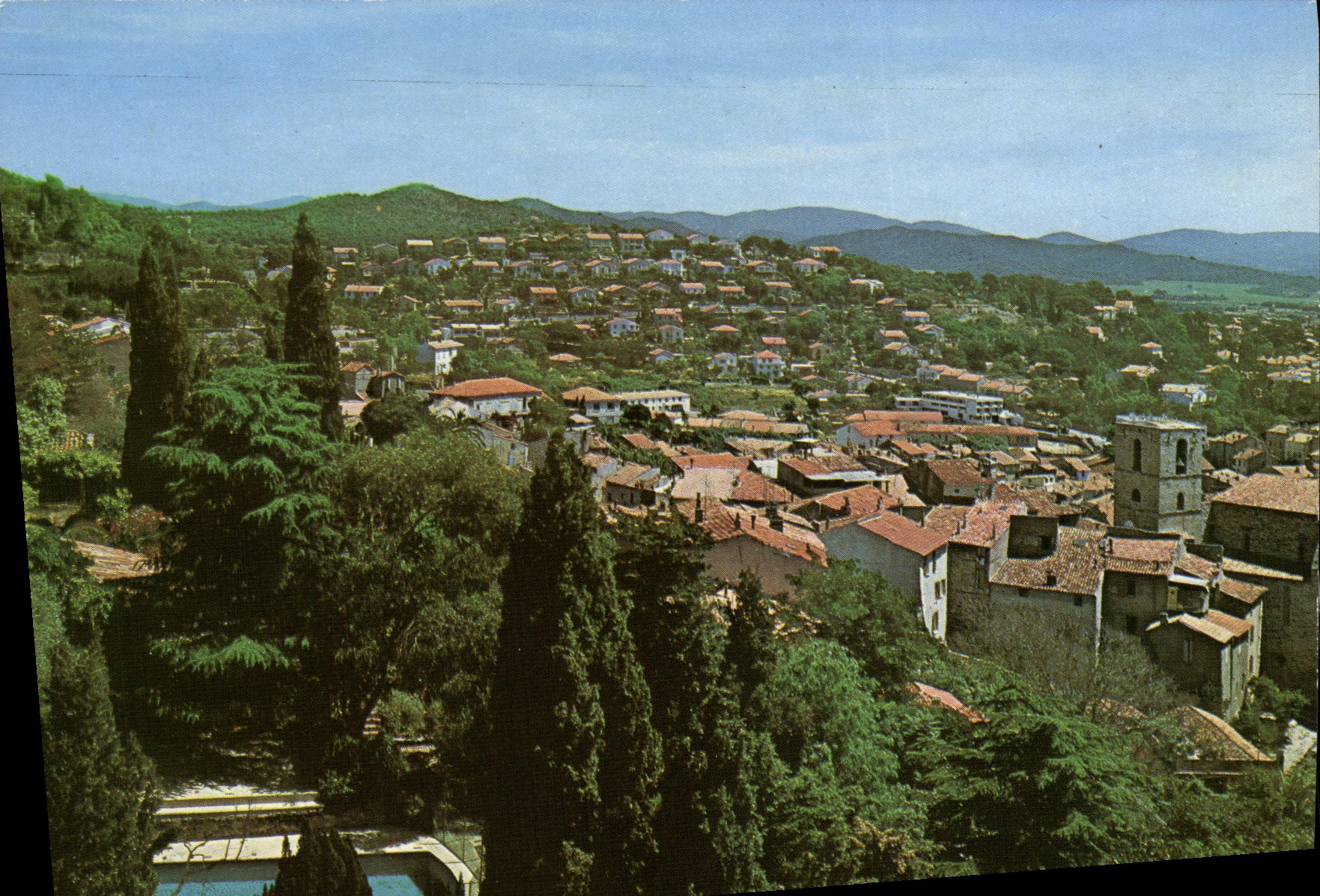 POSTAL MODERNA opinión de las palmeras de Hyeres de la ciudad vieja