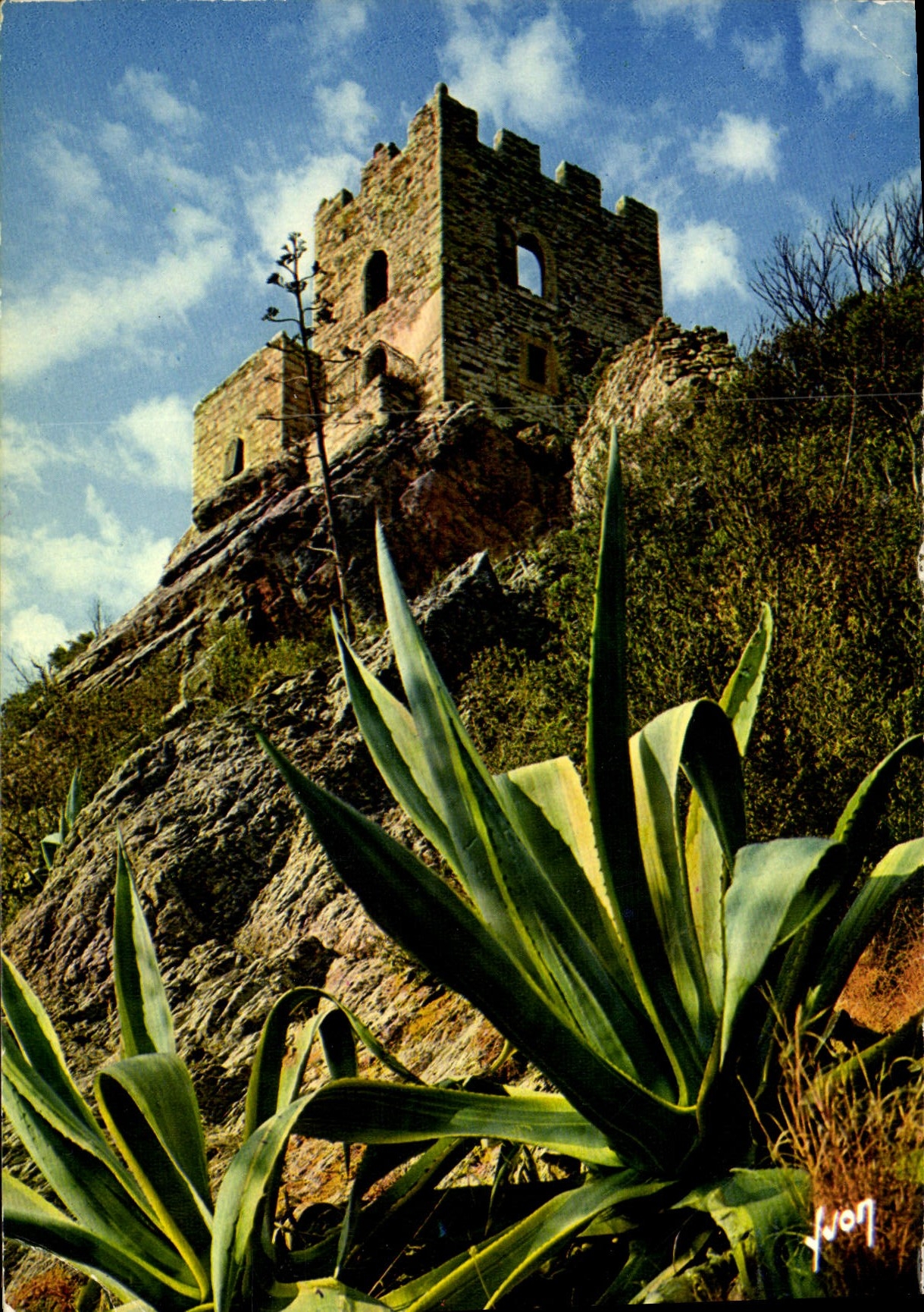 CPM Hyeres Ruines du Chateau