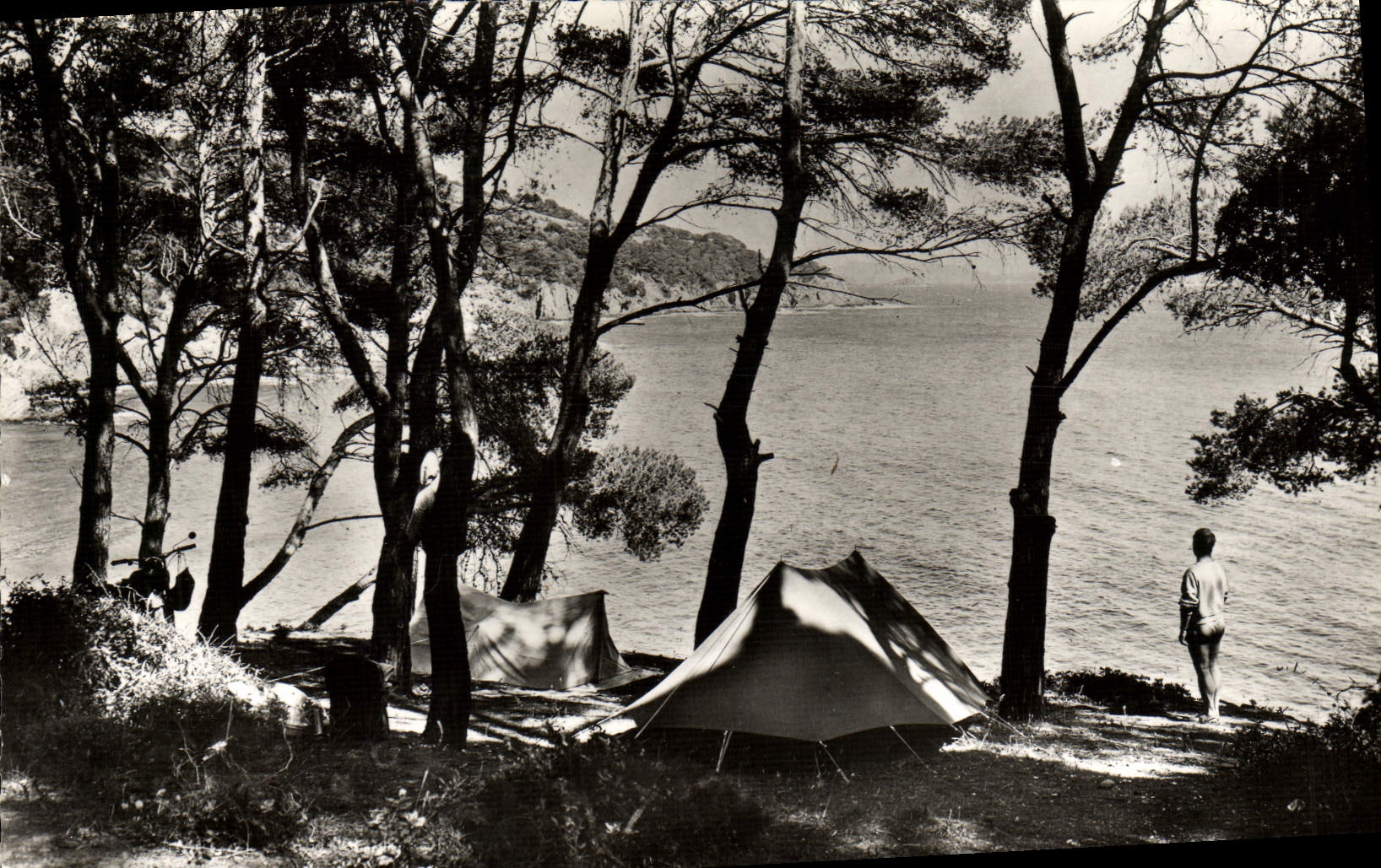 CPM Hyeres Environs de La Capte Camping Campement sous la Pinede au bord de mer