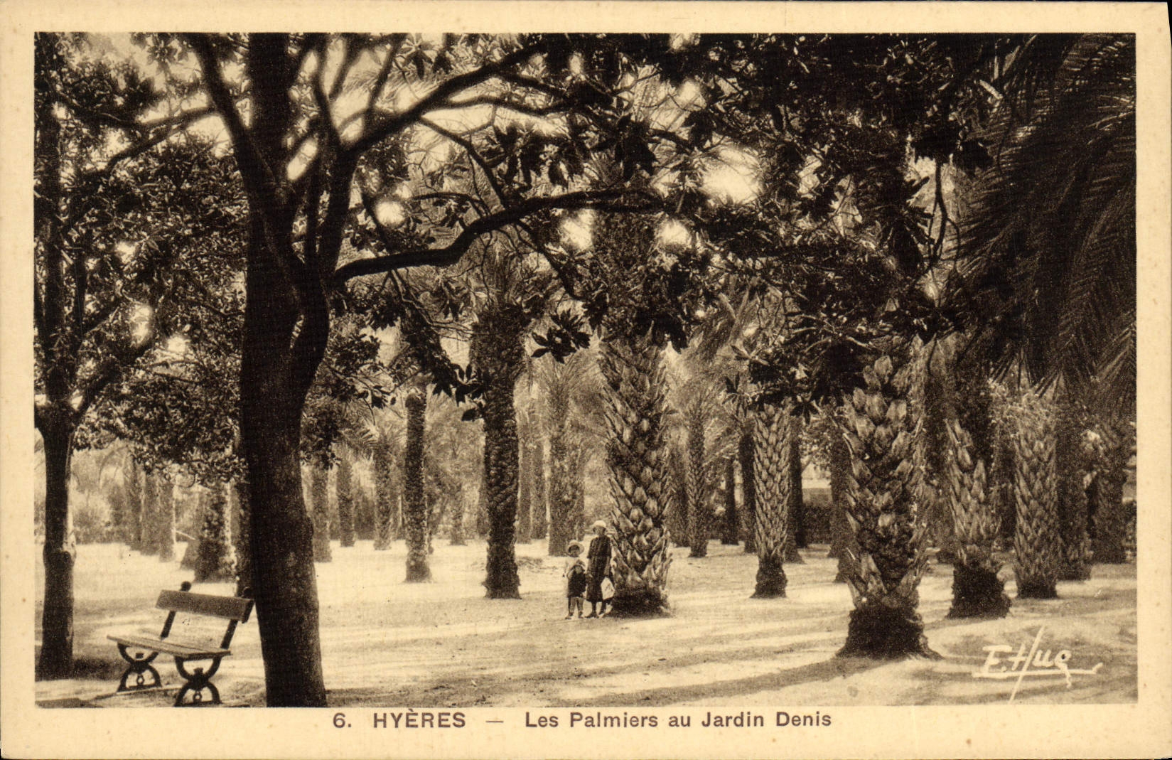 Palmeras de Hyeres de la POSTAL de la VENDIMIA con el jardín de Denis