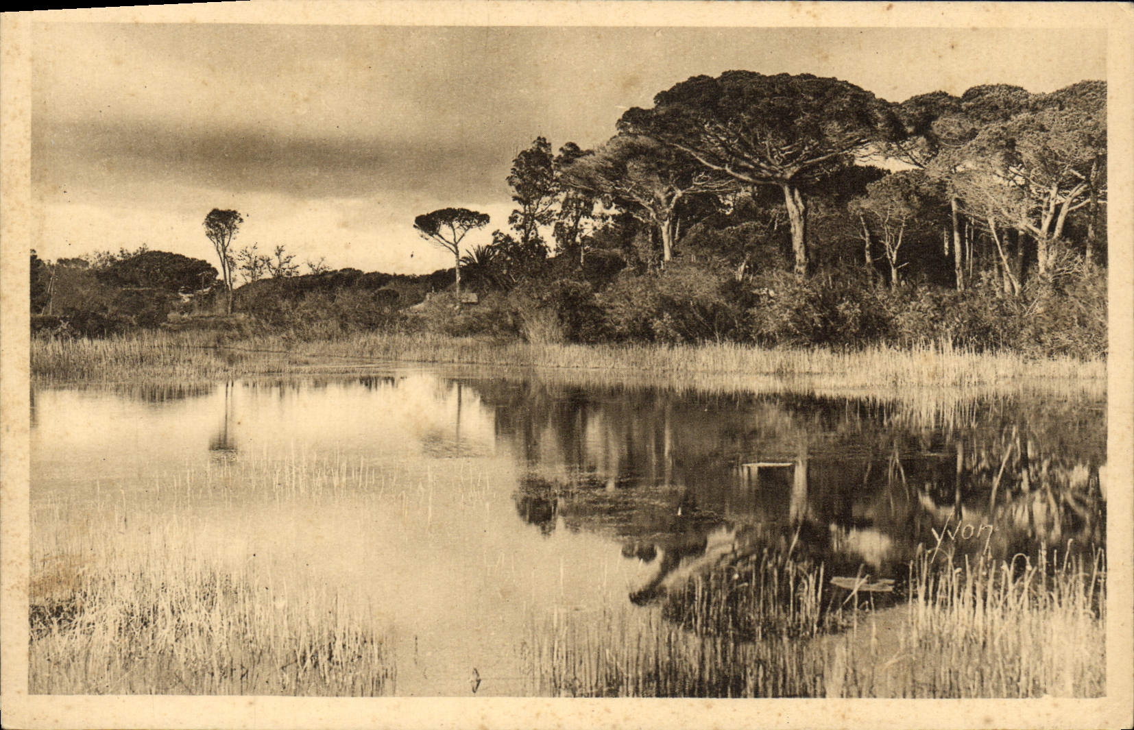 CPA Hyeres Paysage sur la Route de la Plage