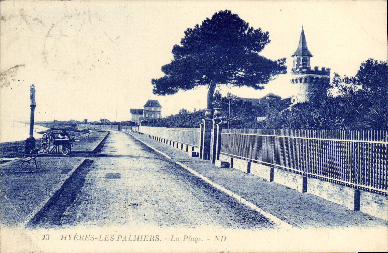 Palmeras de Hyeres de la POSTAL de la VENDIMIA la playa