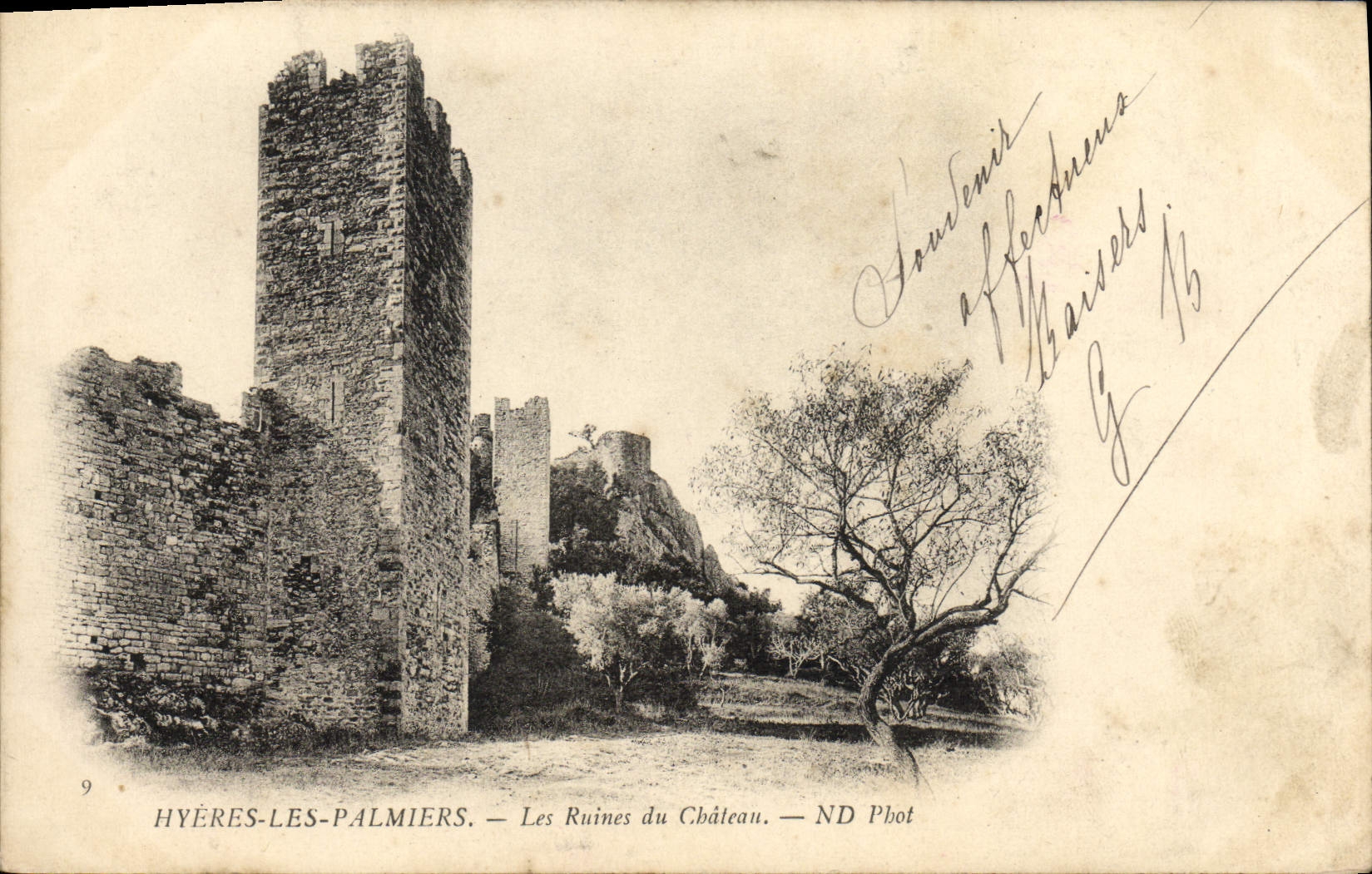 CPA Hyeres Les Palmiers Les Ruines du Chateau