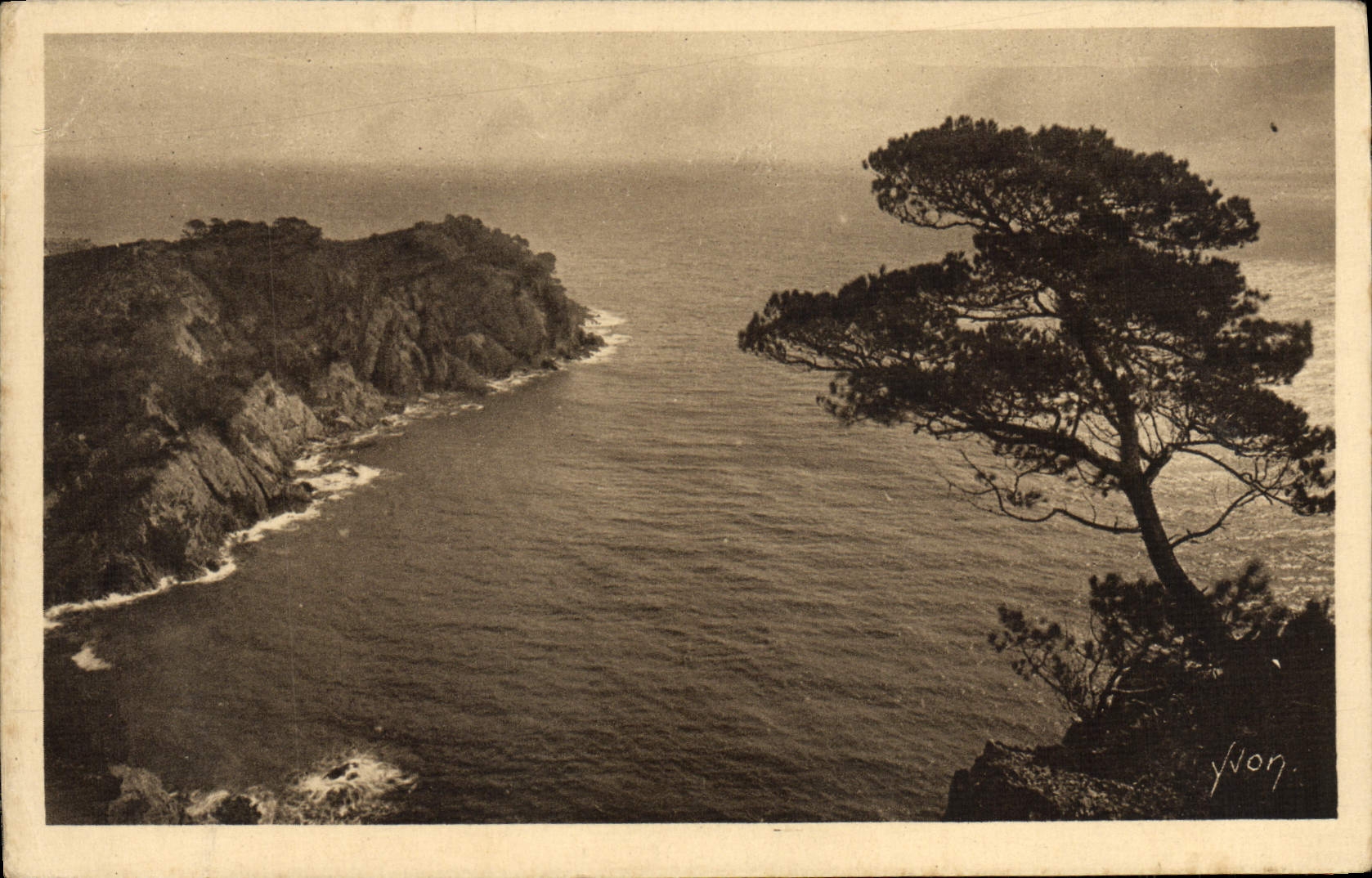 POSTAL Hyeres de la VENDIMIA los puntos de las islas de Porqueroiles de Oustaou de Diou