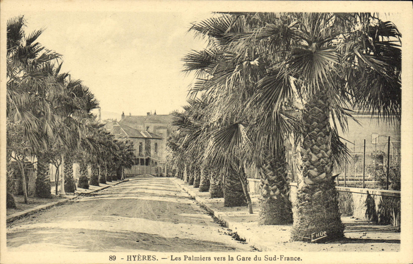 Palmeras de Hyeres de la POSTAL de la VENDIMIA hacia la estación de tren de la Francia del sur