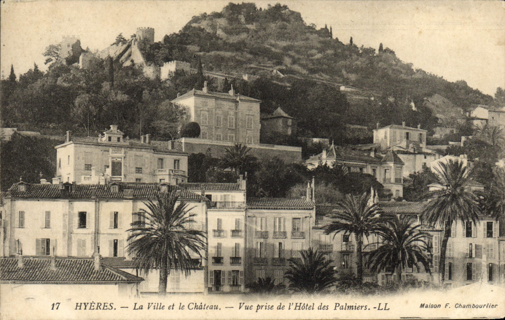 CPA Hyeres La Ville et le Chateau Vue Prise de I'Hotel des palmiers