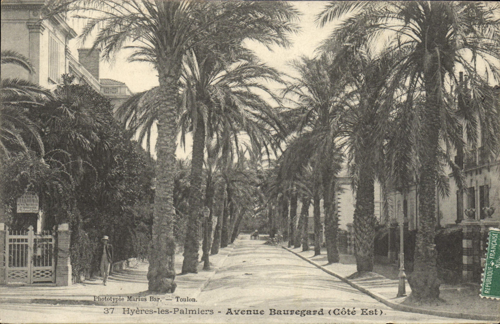 POSTAL Hyeres de la VENDIMIA la costa este de Bauregard de la avenida de las palmeras