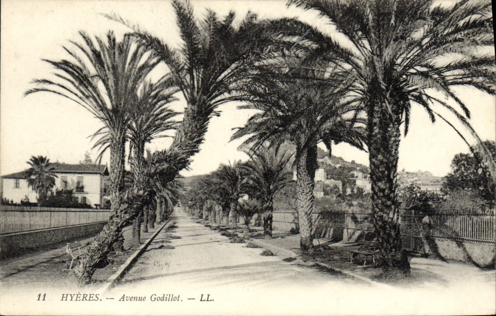 POSTAL Hyeres Avenuue Godillot de la VENDIMIA