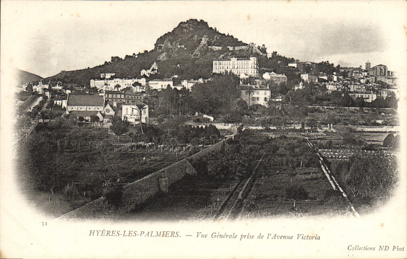 POSTAL Hyeres de la VENDIMIA el Genrale visto palmeras tomado de la avenida Victoria de I