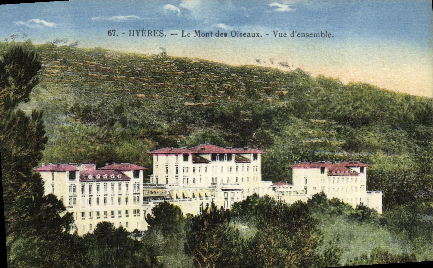 POSTAL Hyeres de la VENDIMIA el montaje del cuadro total de los pájaros