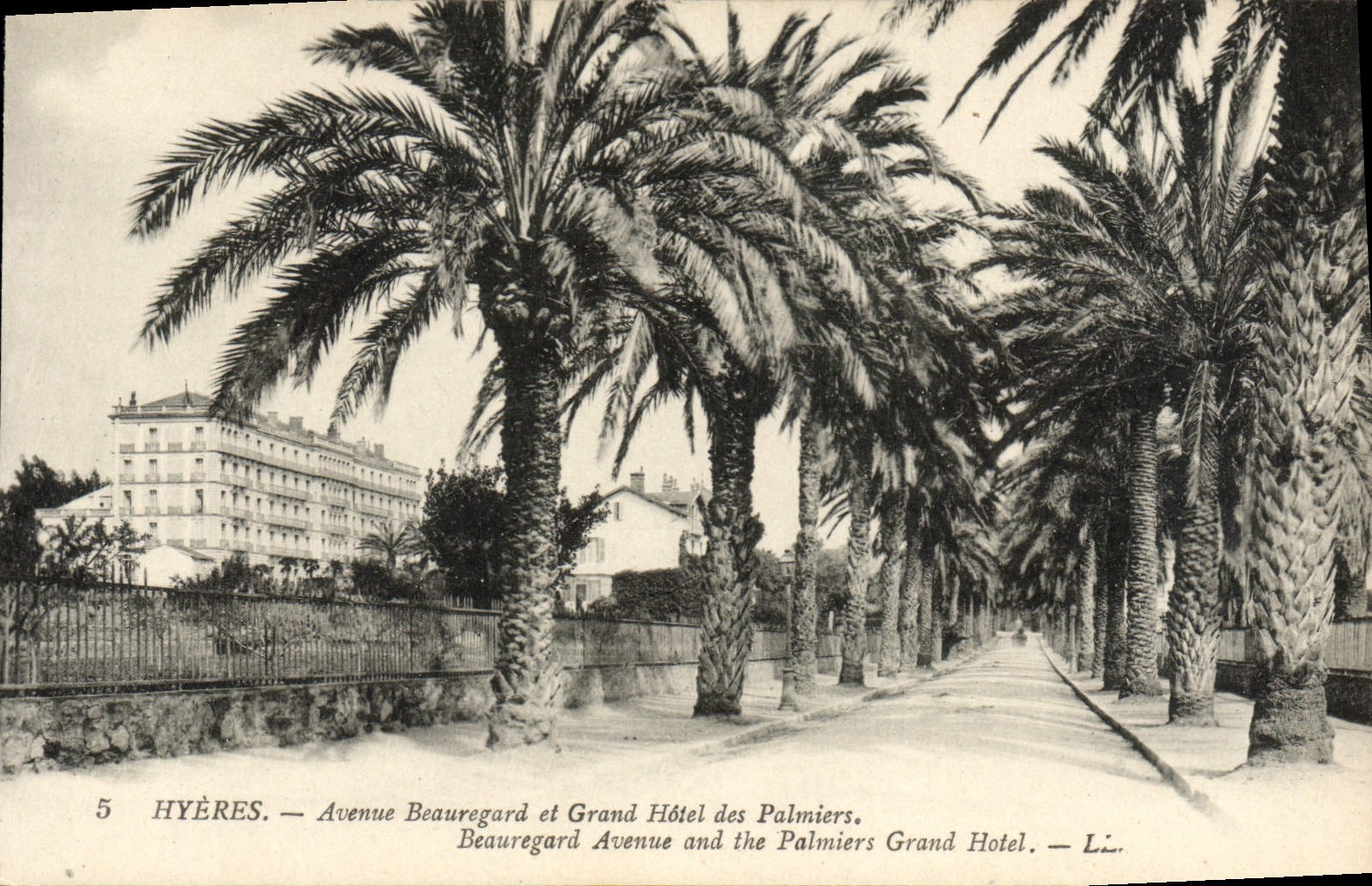 CPA Hyeres Avenue Beauregard et Grand Hotel des palmiers