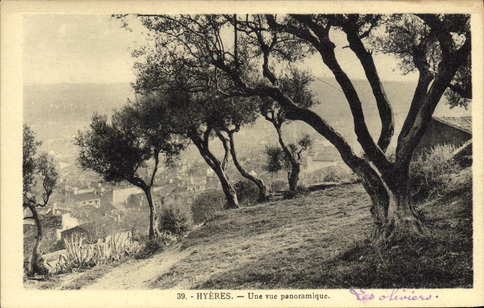 CPA Hyeres Une Vue Panoramique