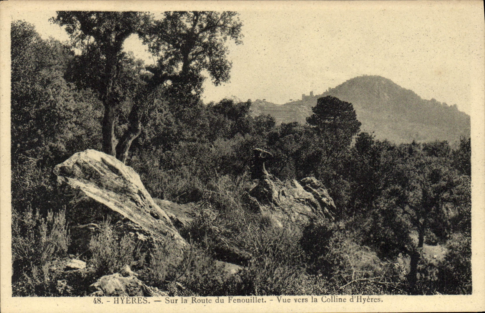 CPA Hyeres Sur La Route du Fenouillet Vue Vers La Colline d'Hyeres