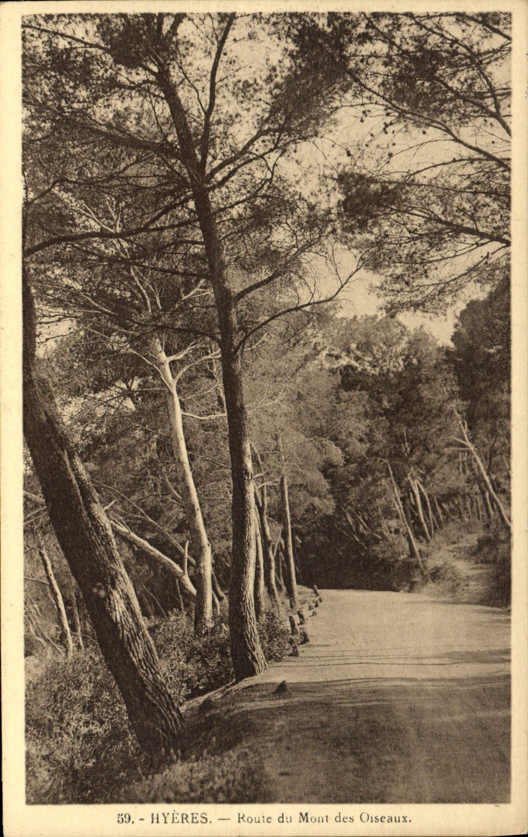 CPA Hyeres Route du Mont des Oiseaux