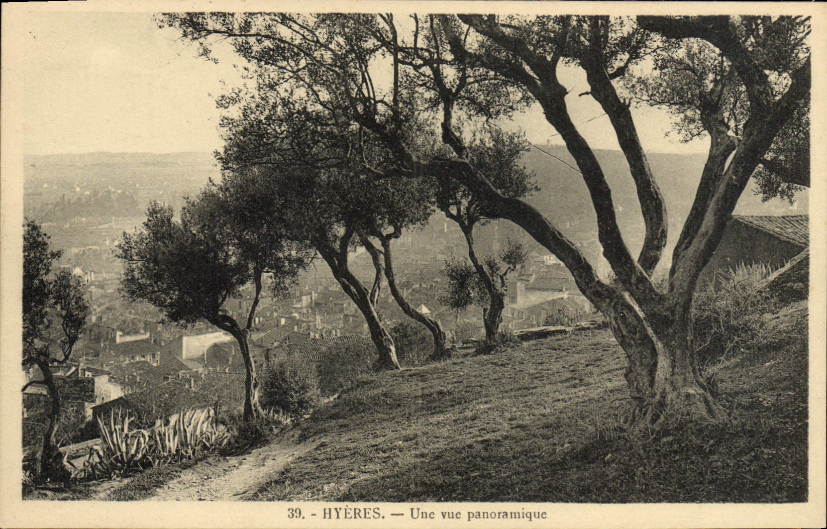 CPA Hyeres Une Vue Panoramique