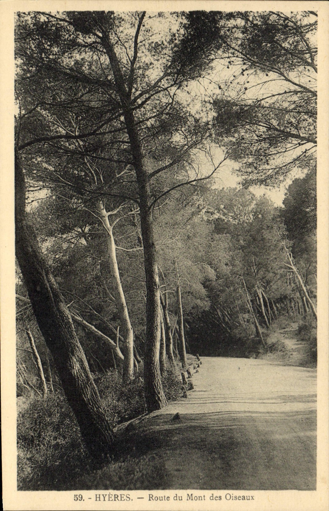 CPA Hyeres Route du Mont des Oiseaux