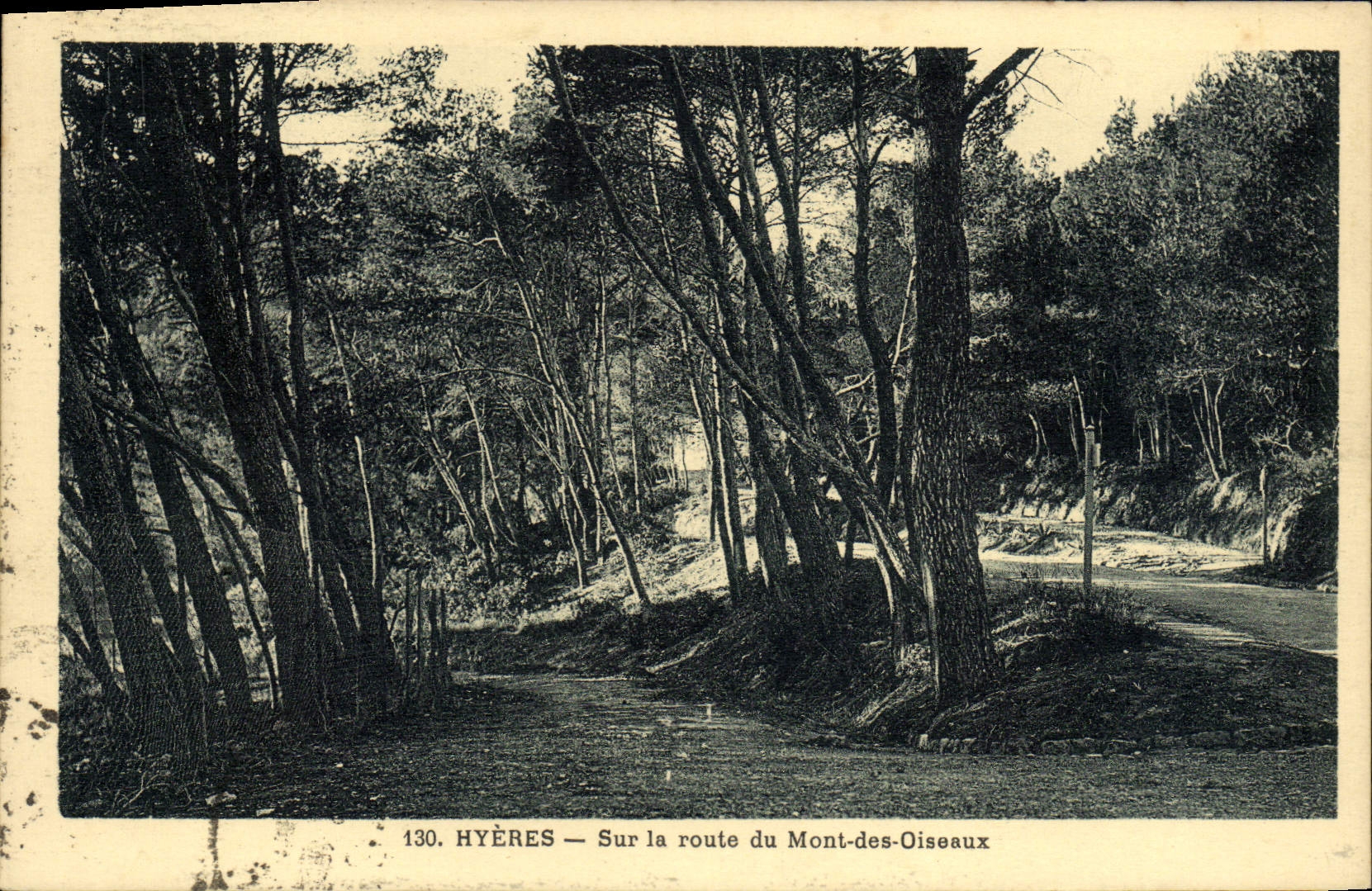 POSTAL Hyeres de la VENDIMIA en el camino del montaje de los pájaros