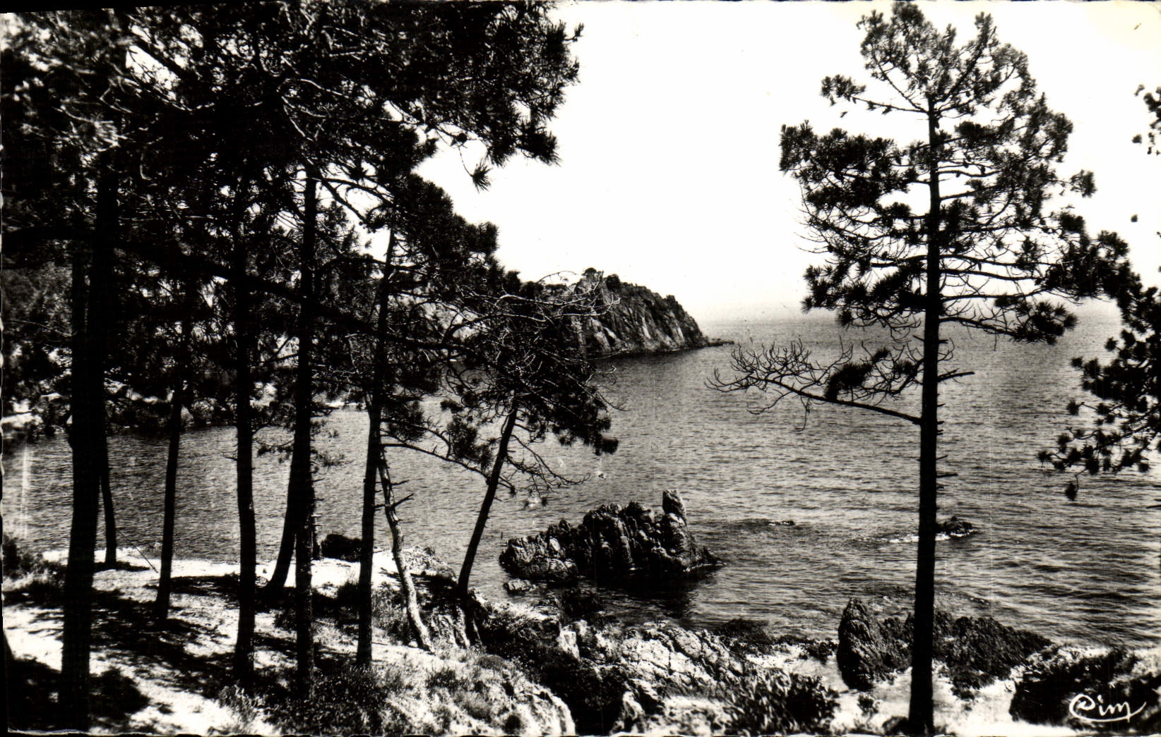 CPA La Cote d'Azur Miracle de la Nature La Corniche d'Or 