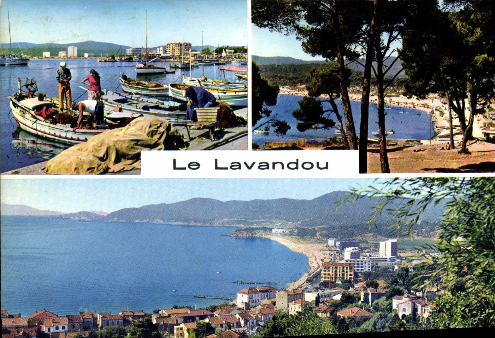 MODERN CARD Lavandou the Bormes port Mimosas FAviere