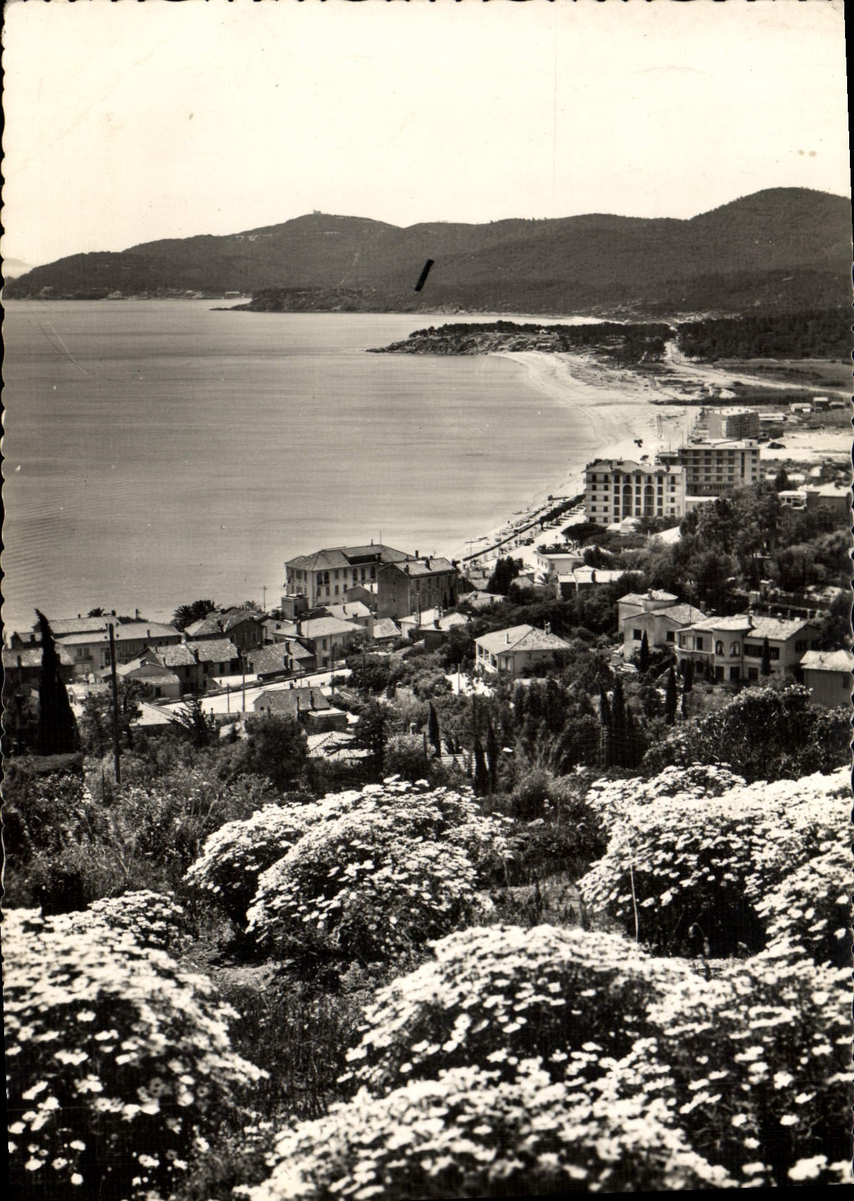 CPM Le Lavandou Vue du Lavandou au Cap Benat
