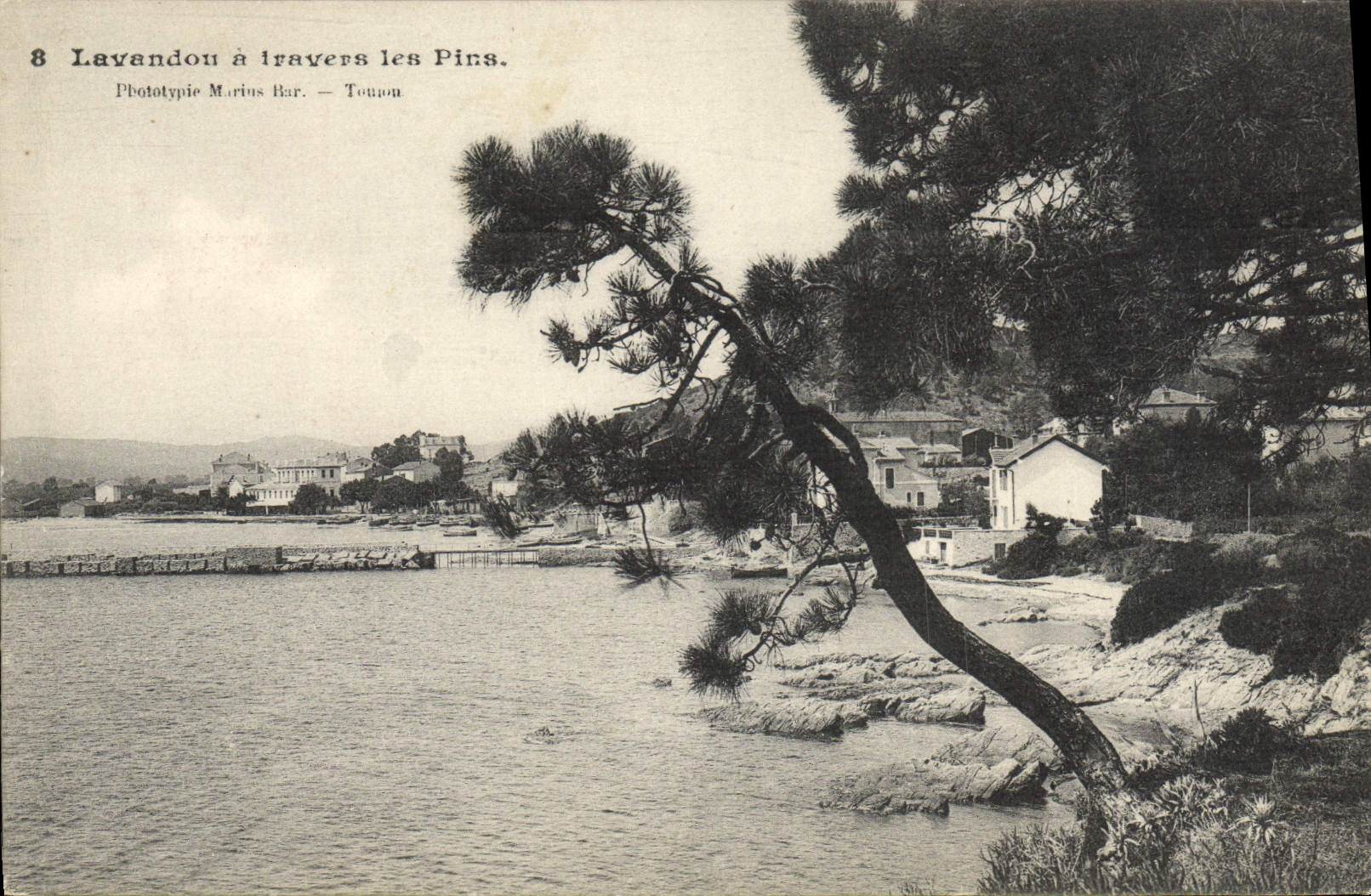 CPA Le Lavandou A Les Pins