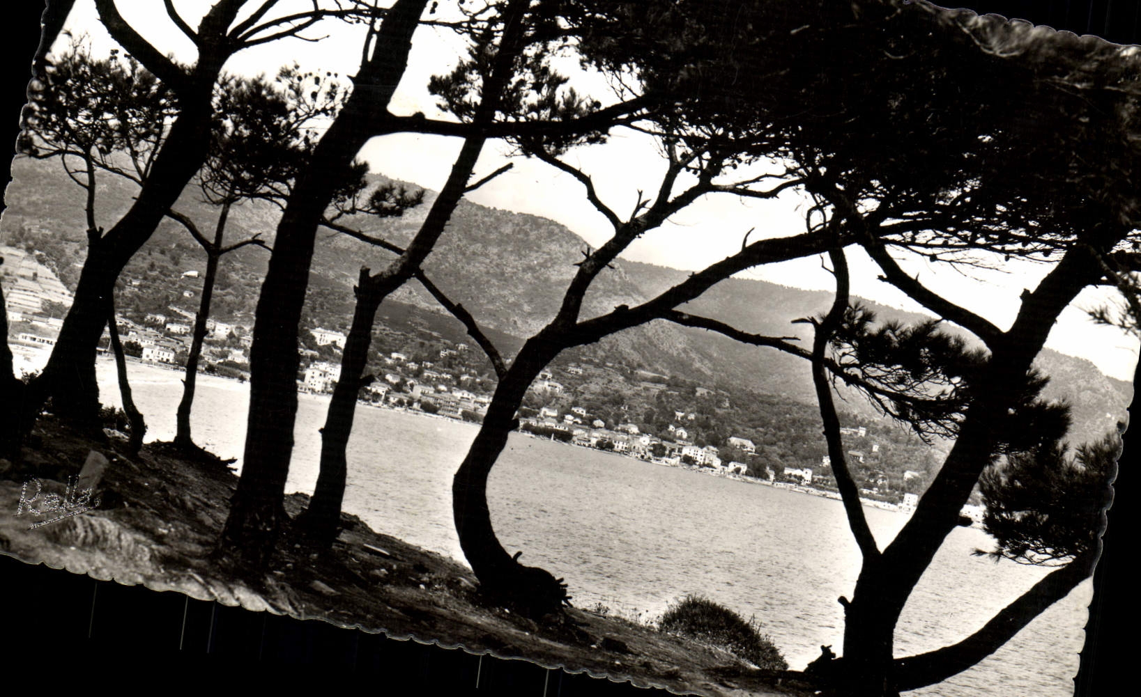 MODERN CARD Lavandou Seen from of Gouron