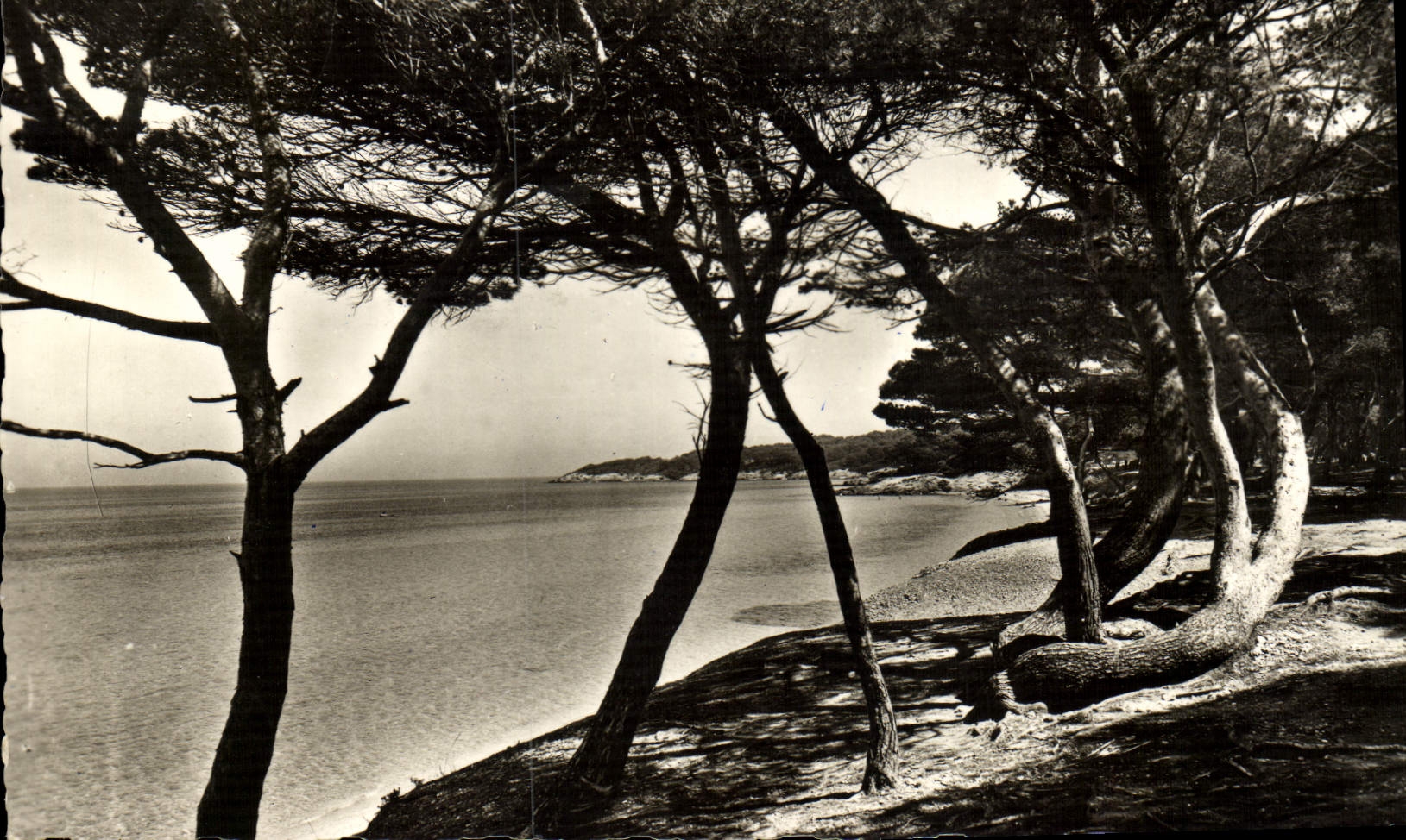 MODERN CARD Island De Porquerolles Beach of Courtade