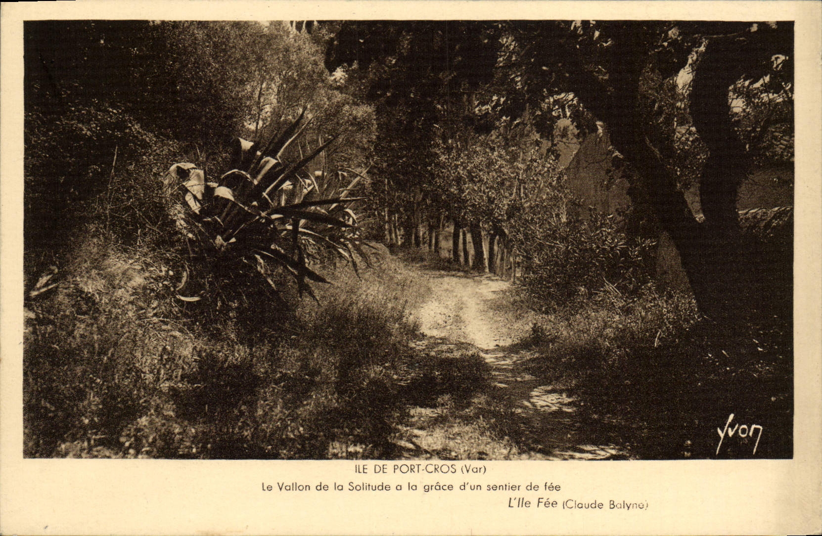 CPM Ile De Port Cros Le Vallon de la Soltude a la grace d'un sentier de fee