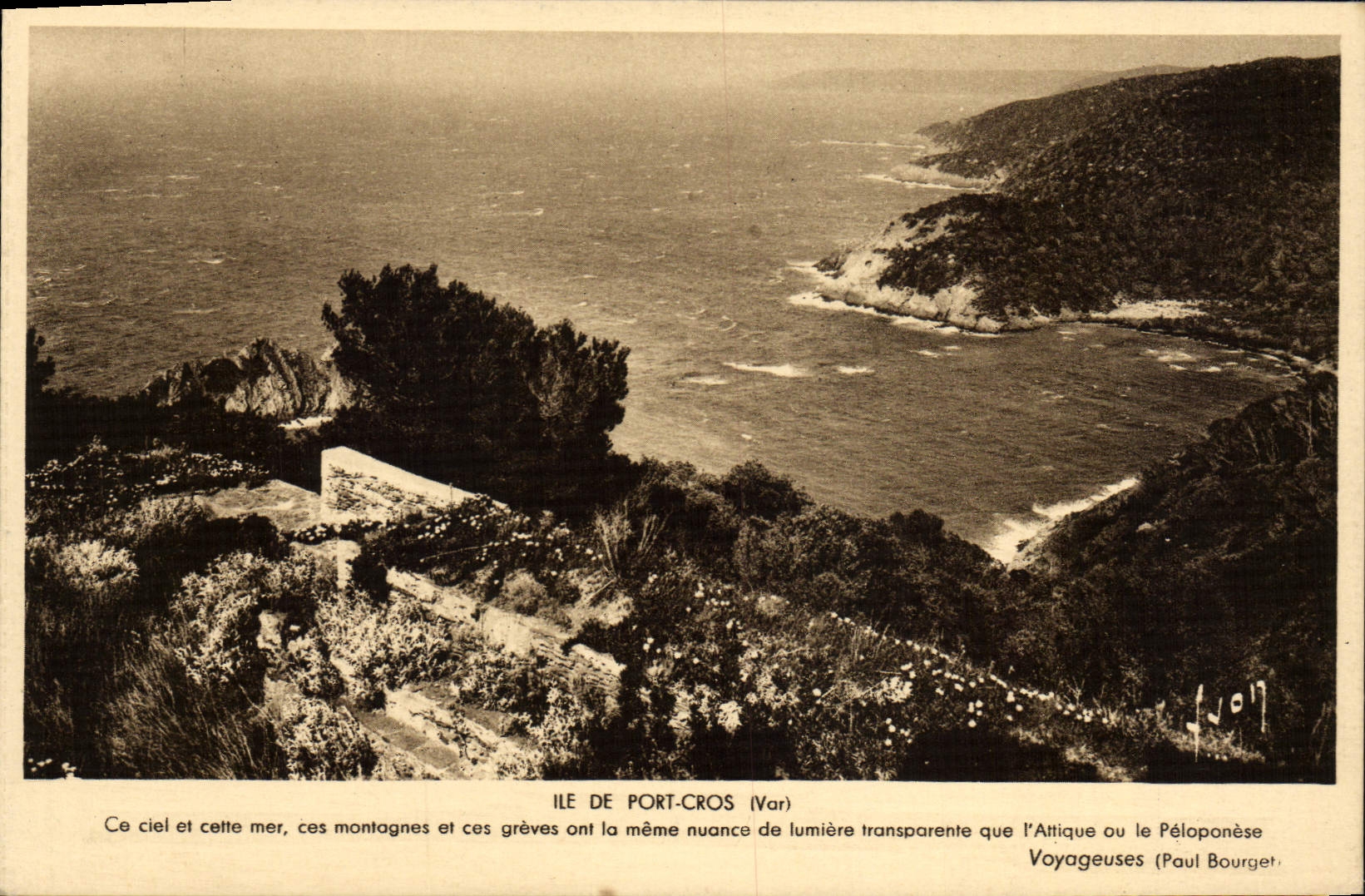 CPM Ile De Port Cros 