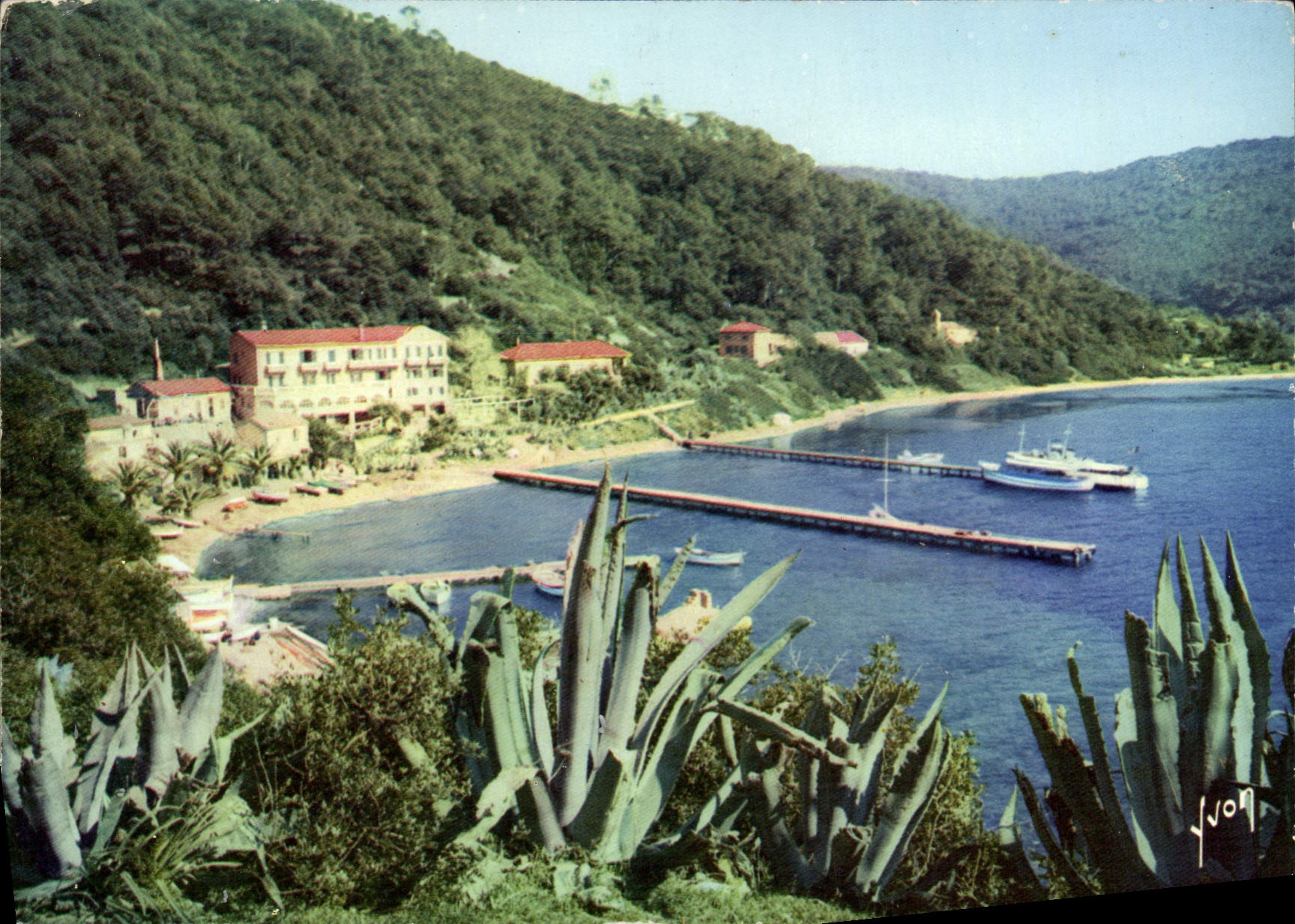 CPM Ile De Port Cros Le Port en amphitheatre avec ses maison de pecheurs et ses hotels
