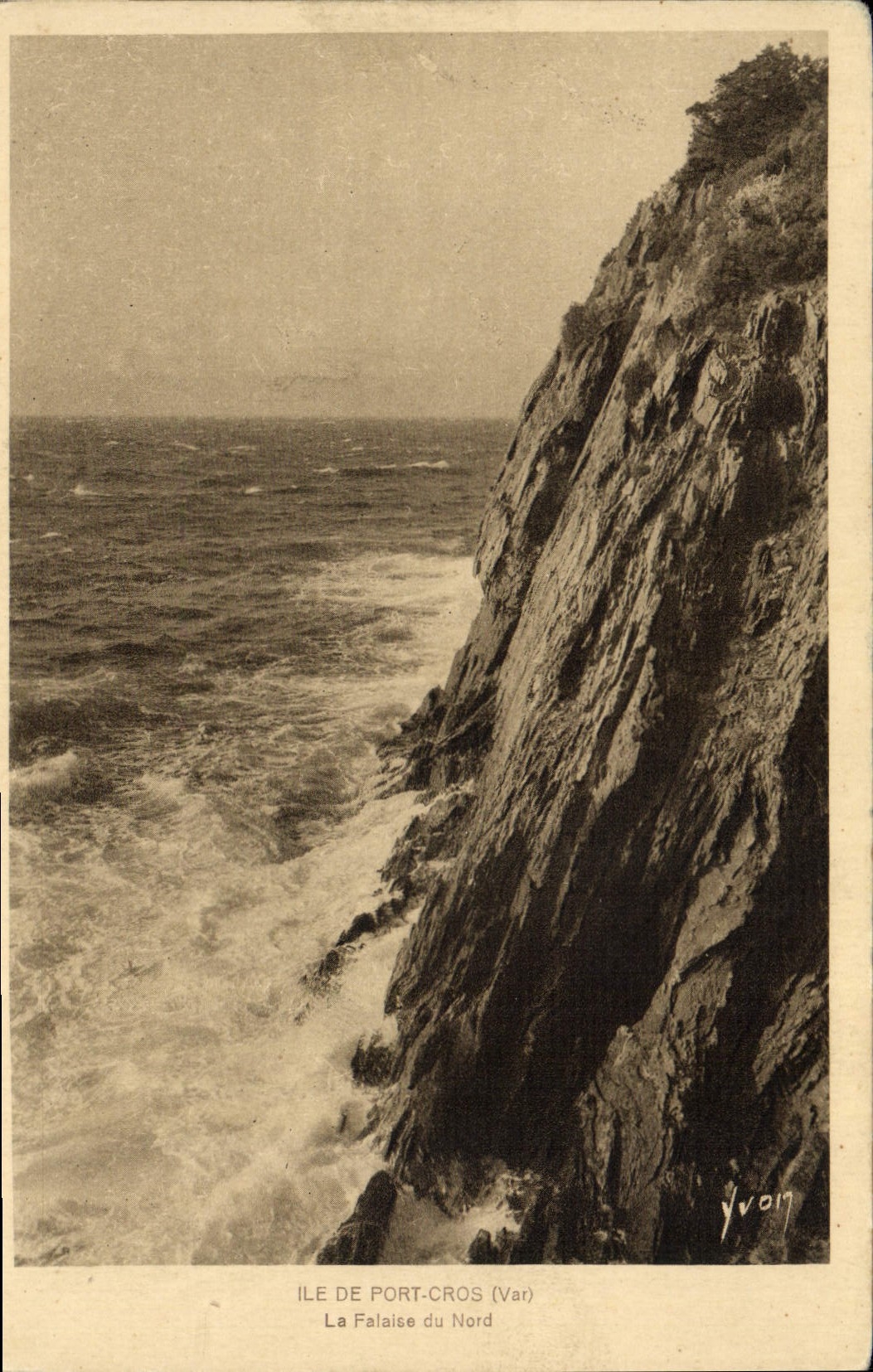 CPM Ile De Port Cros La Falaise du Nord