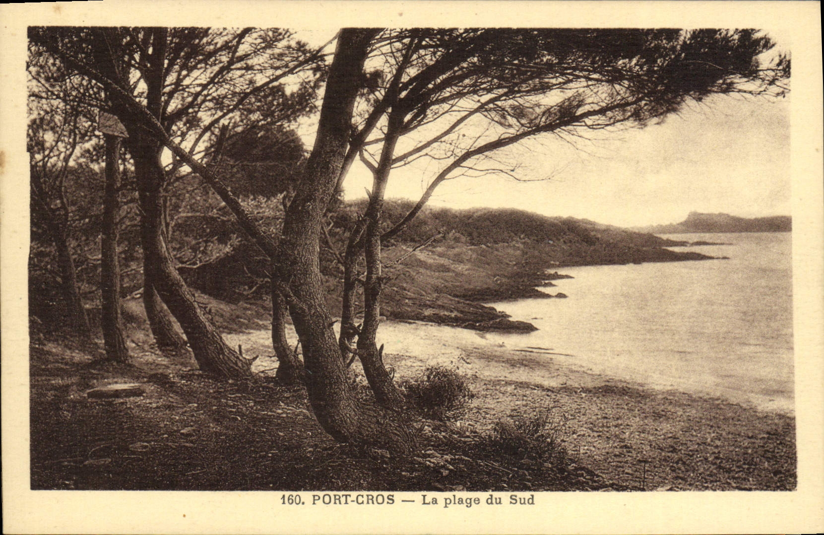 POSTAL MODERNA raza a campo través portuaria la playa del sur