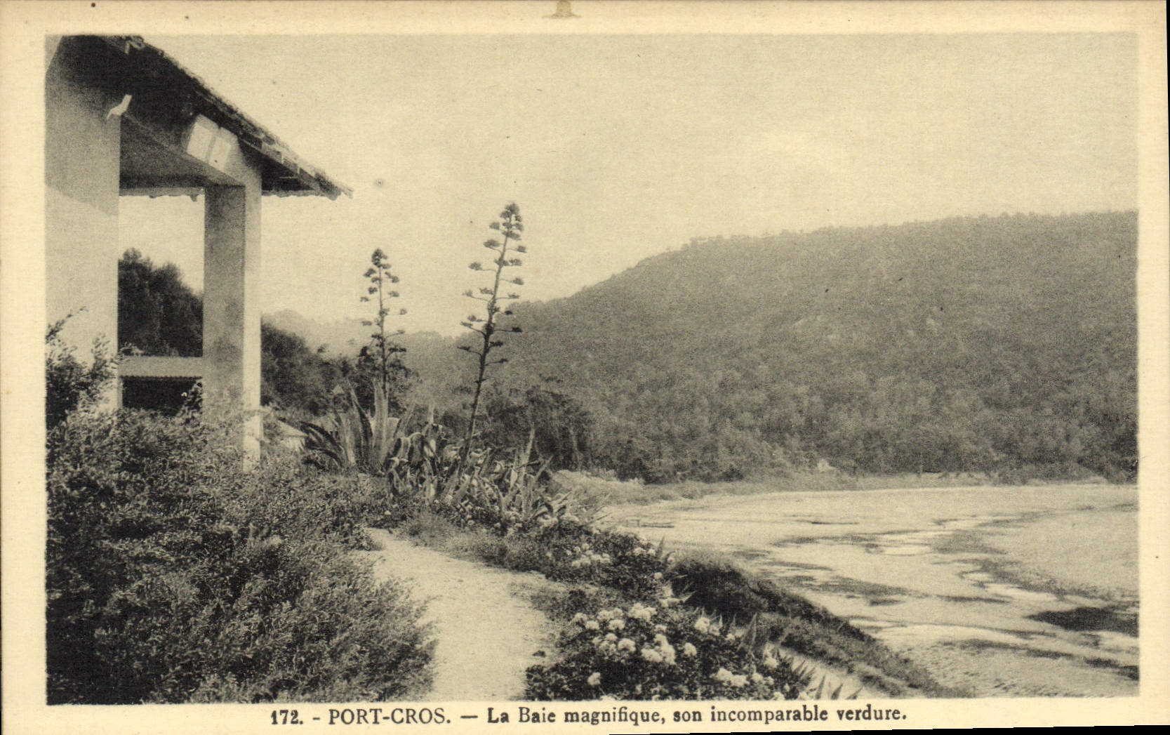 CPM Port Cros La Baie Magnifique son Incomparable Verdure