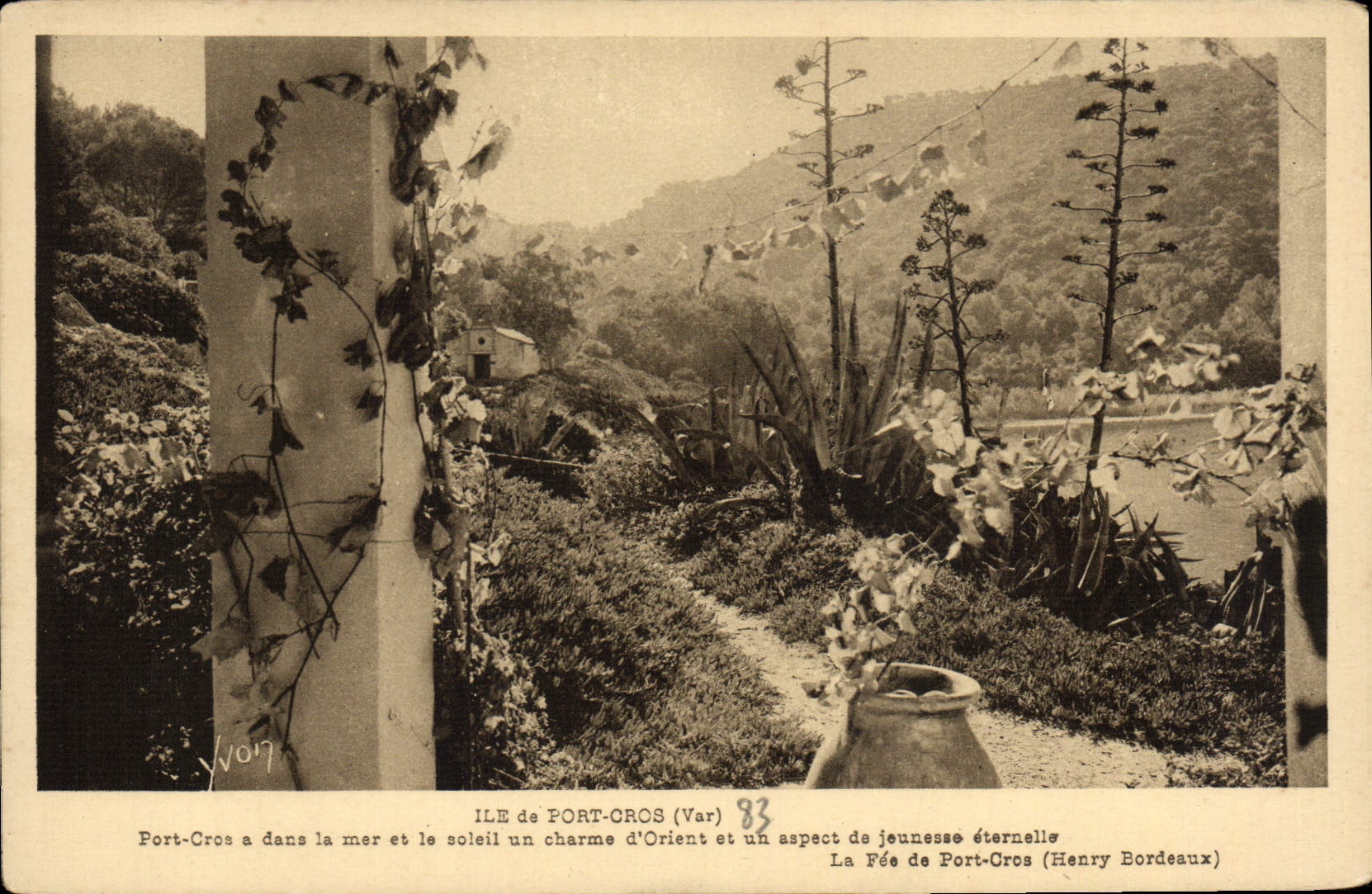 CPM Ile de Port Cros