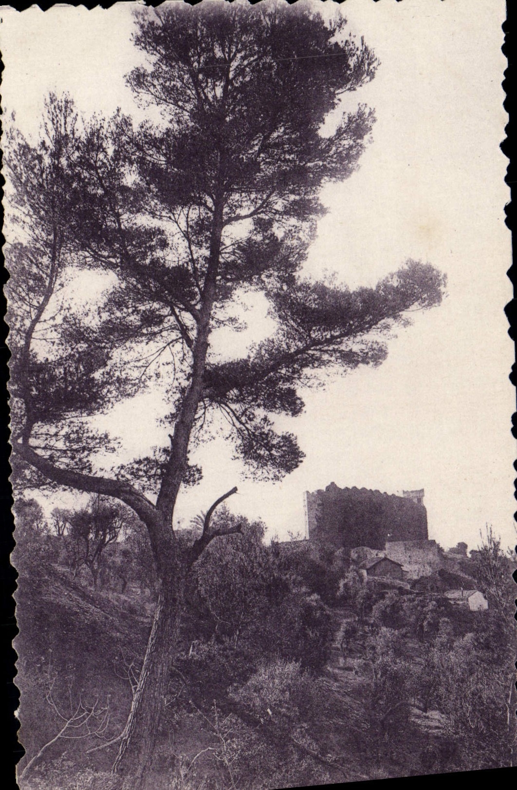 CPA Roquebrune