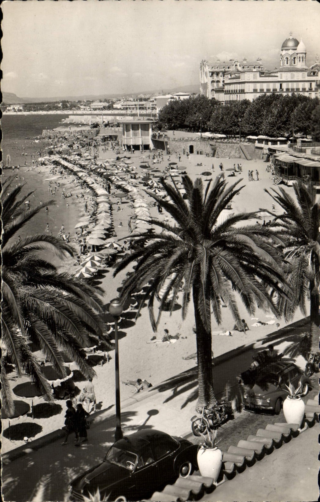 CPM Saint Raphael La Place et les Palmiers