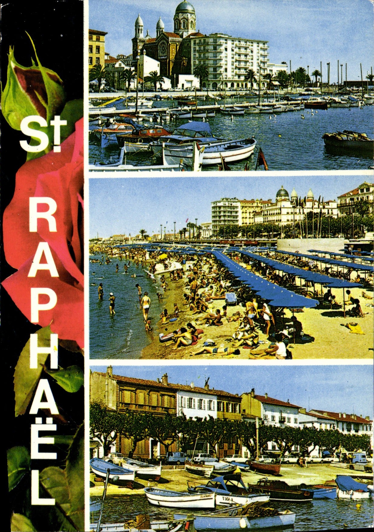 CPM Souvenir de Saint Raphael