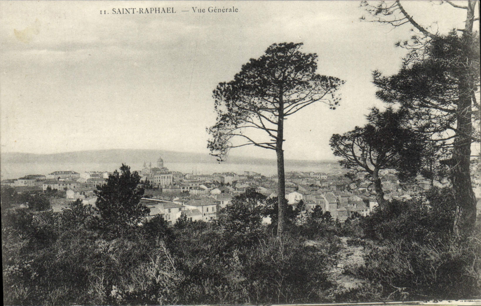 CPA Saint Raphael Vue Generale