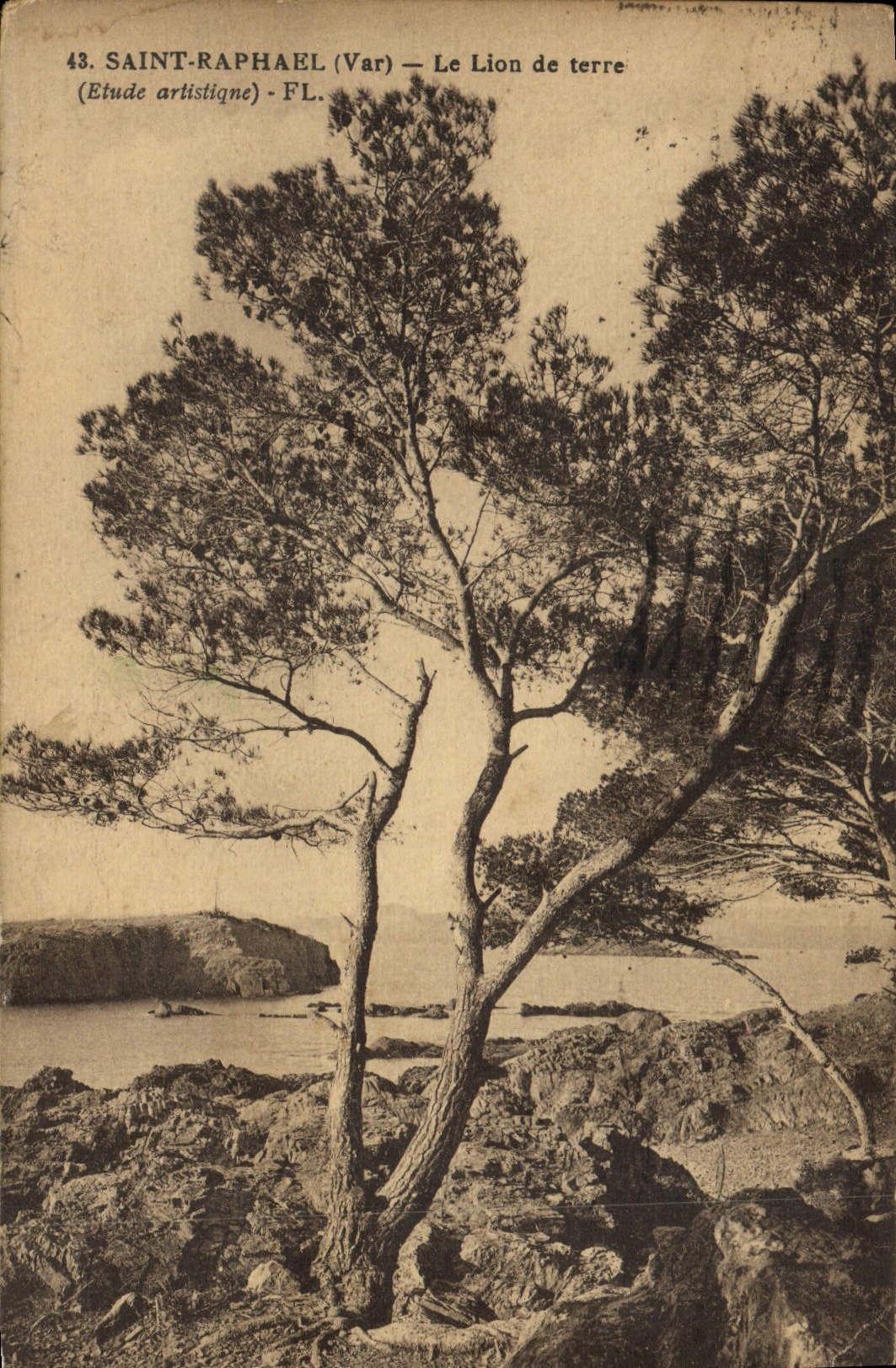 Raphael santo de la POSTAL de la VENDIMIA el león de tierra