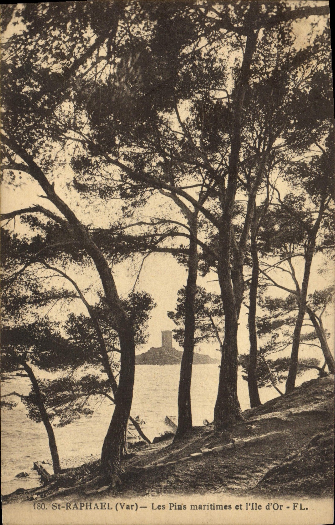 Pinos marítimos de Raphael del St de la POSTAL de la VENDIMIA y la isla del oro