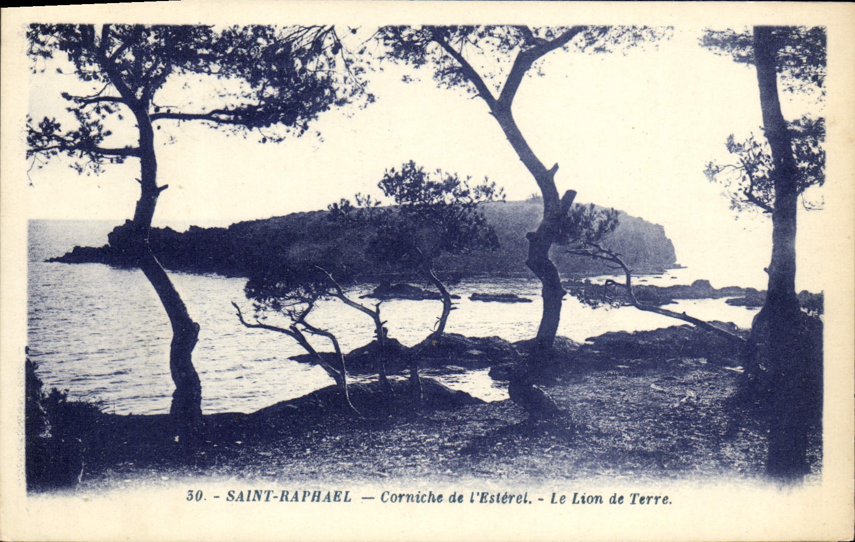 CPA Saint Raphael corniche de l'Esterel Le Lion de Terre