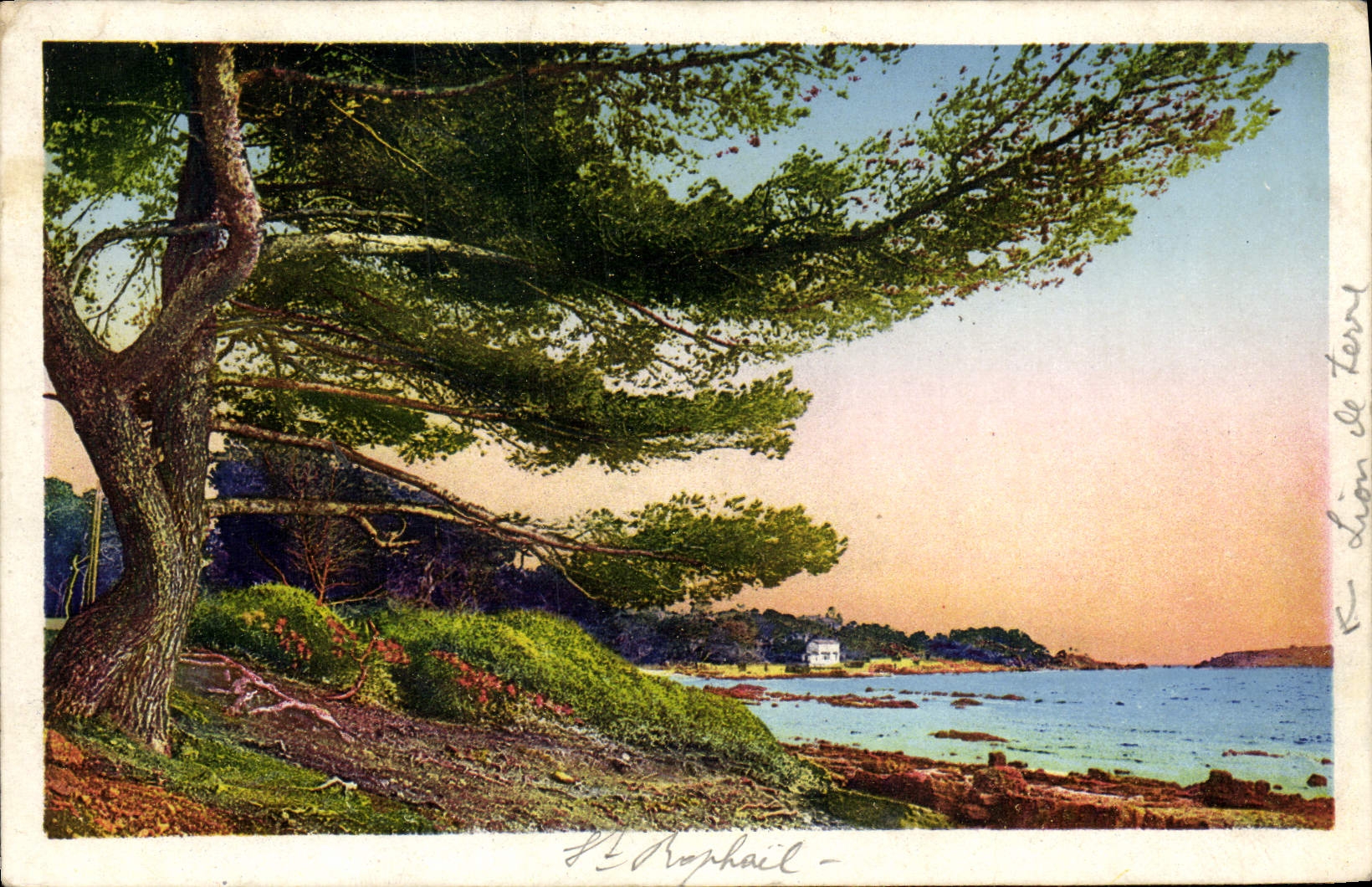 CPA La Cote D'Azur Saint Raphael Le Lion de Terre et la Plage