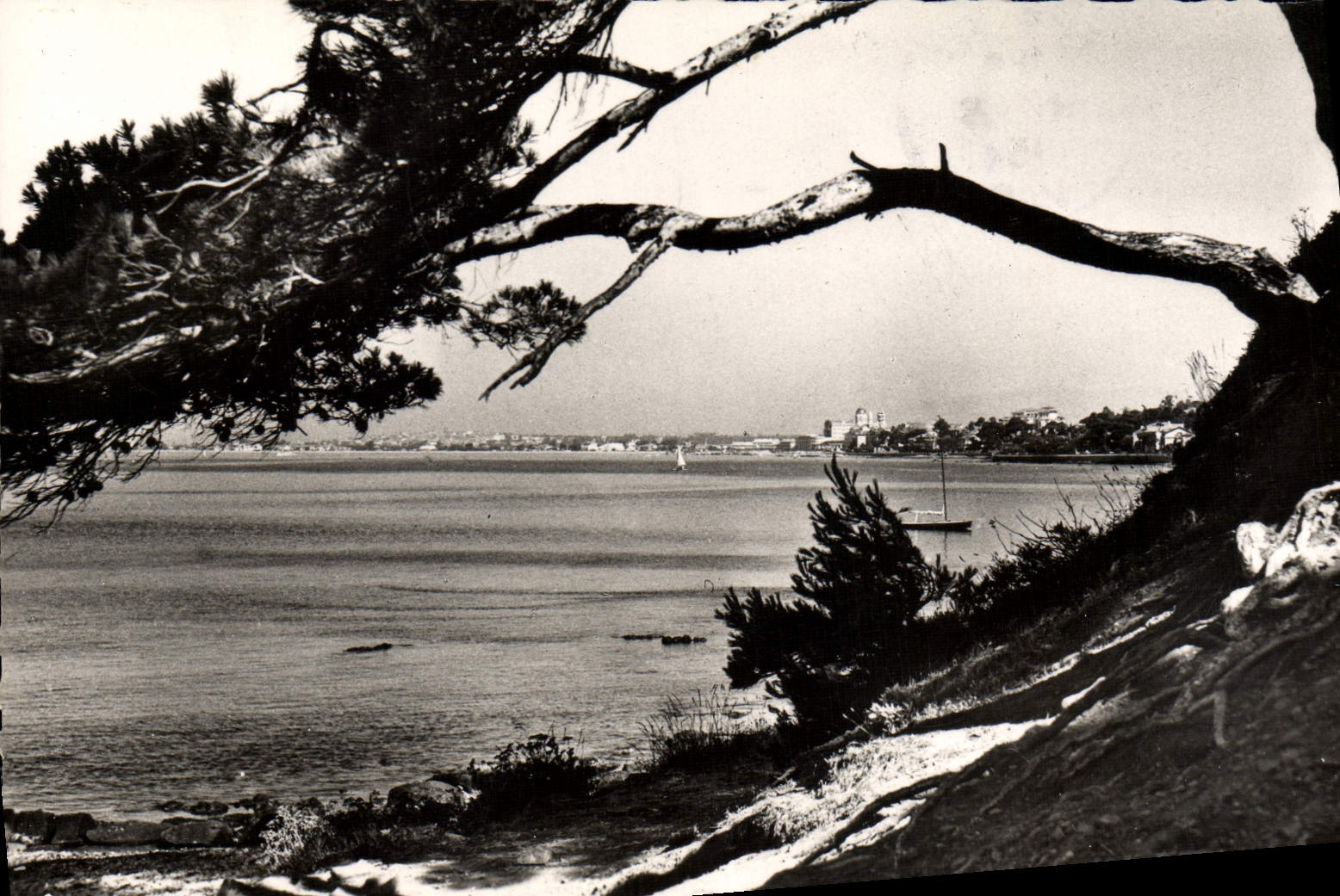 Raphael santo de la POSTAL de la VENDIMIA visto en la ciudad y el golfo de Frejus
