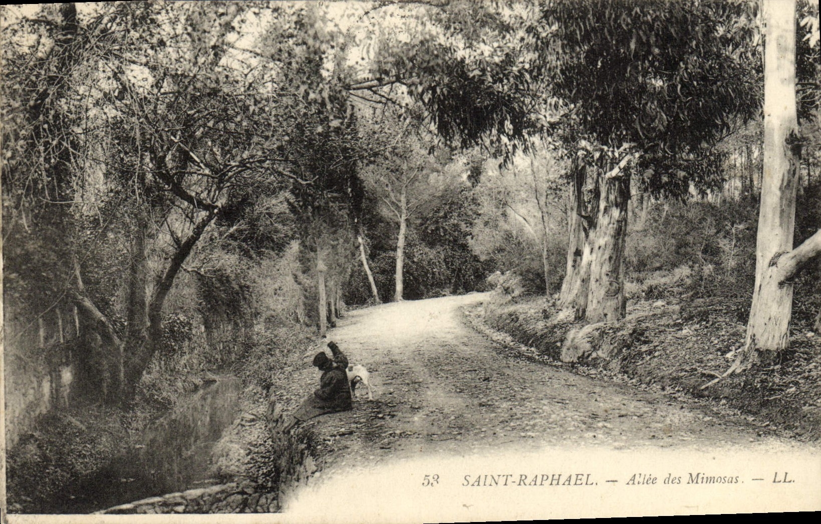 Raphael santo de la POSTAL de la VENDIMIA ido de los Mimosas