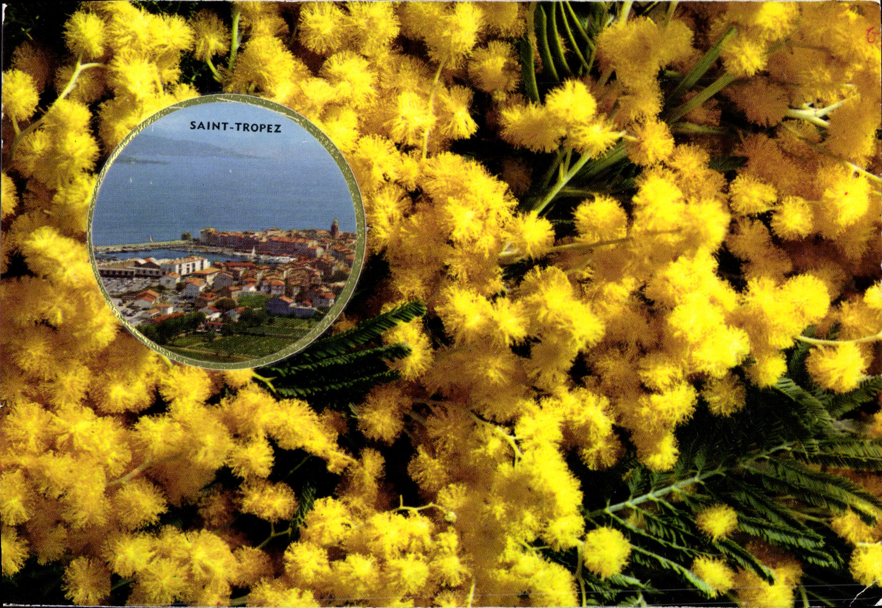 CPAMCarte Parfumee de Luxe Vallazur Grasse