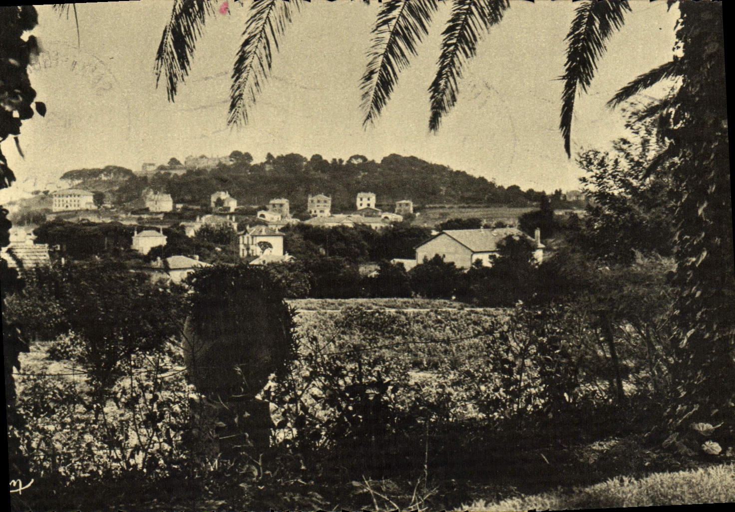 VINTAGE POSTCARD Holy Escaped Tropez